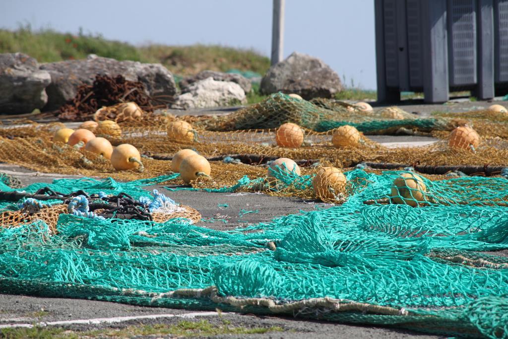 Face Aux Flots Otel La Cotinière Dış mekan fotoğraf